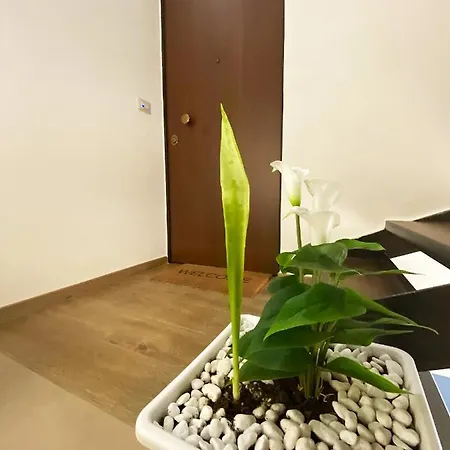 White *