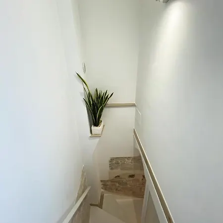Apartment White *